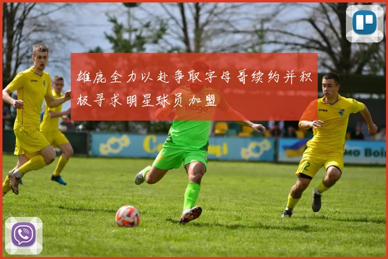 雄鹿全力以赴争取字母哥续约并积极寻求明星球员加盟