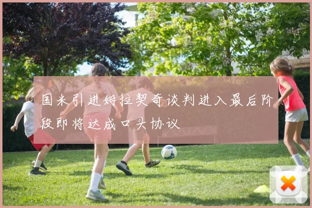 国米引进姆拉契奇谈判进入最后阶段即将达成口头协议