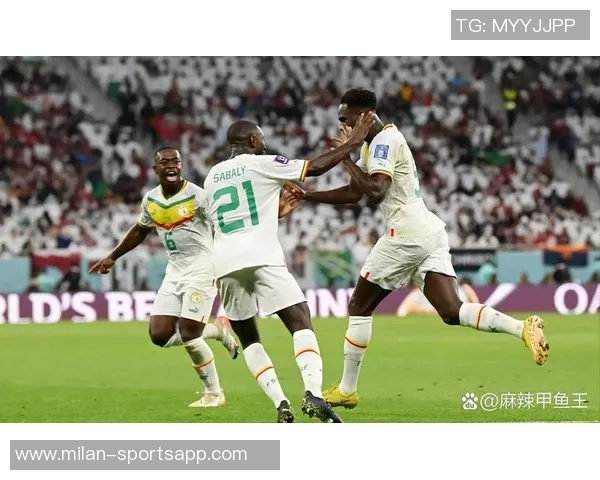 巴西世界杯历史战绩辉煌对阵非洲球队7胜1负的传奇之路