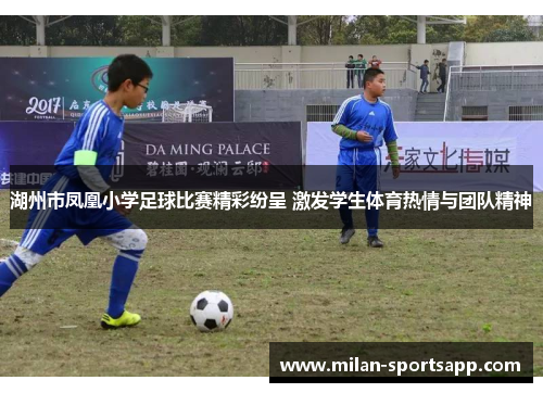 湖州市凤凰小学足球比赛精彩纷呈 激发学生体育热情与团队精神