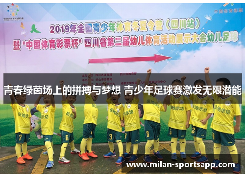 青春绿茵场上的拼搏与梦想 青少年足球赛激发无限潜能